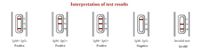 γρήγορη εξάρτηση δοκιμής αντισωμάτων 2019-nCoV IgG/IgM